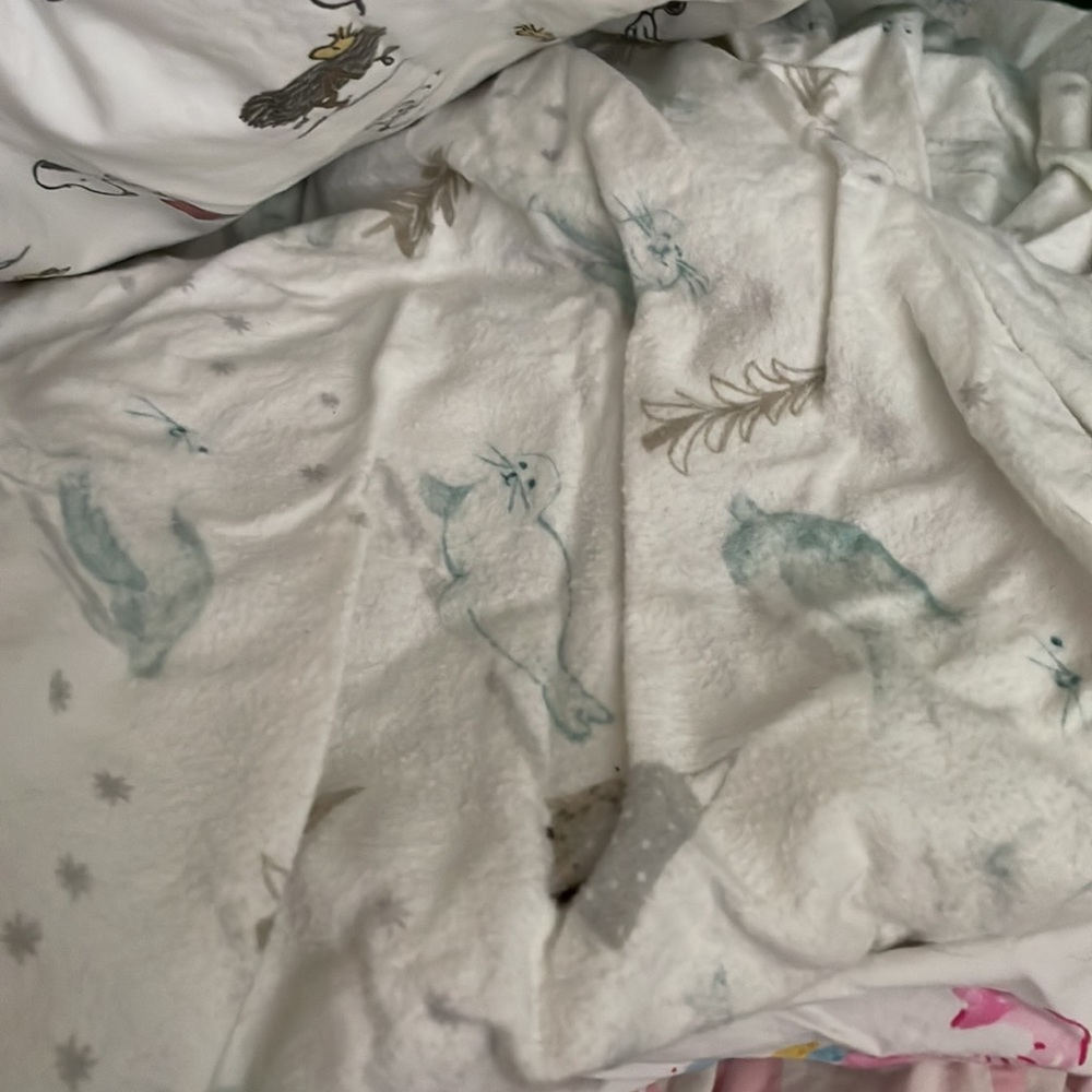 4 pottery barn kids crib sheets - Picture 2 of 5